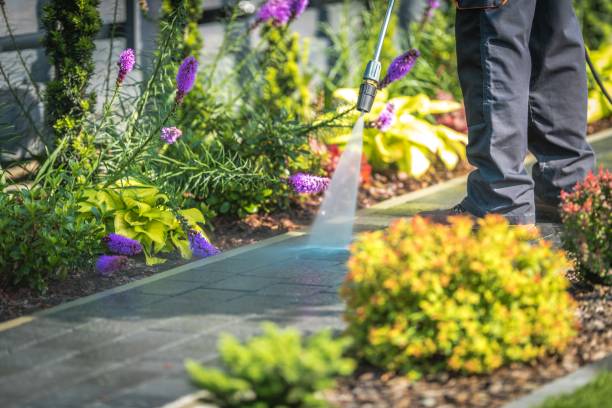 Winterizing Services in Rosamond, CA
